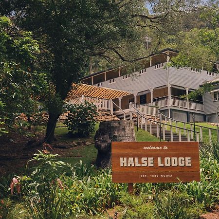 Halse Lodge Noosa Heads Exterior photo